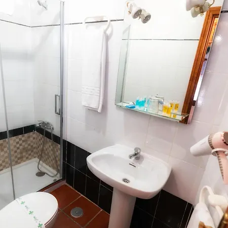 Palmeras By Vivere Zafra