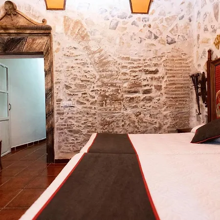 Palmeras By Vivere *