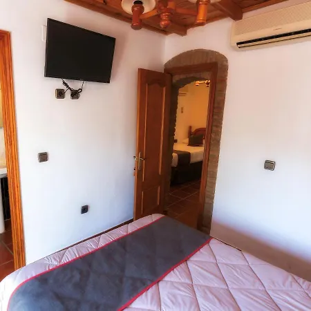 Palmeras By Vivere Zafra