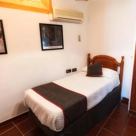 Palmeras By Vivere *