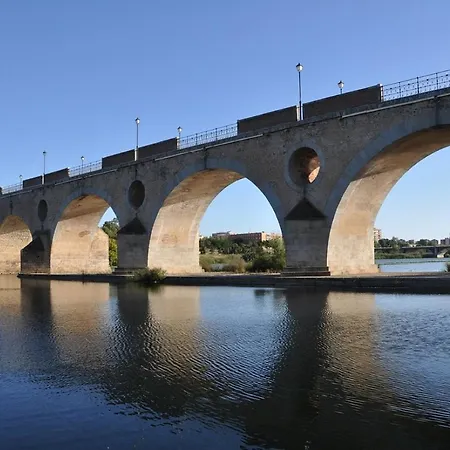 Palmeras By Vivere Zafra