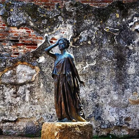 Hotel Palmeras By Vivere *