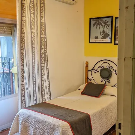 Palmeras By Vivere * Zafra