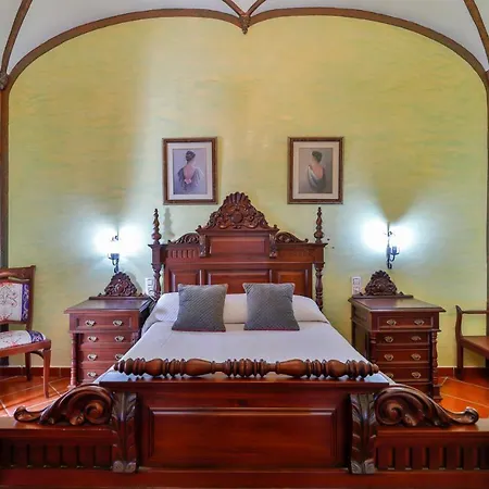 Palmeras By Vivere *