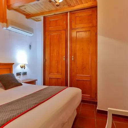 Palmeras By Vivere * Zafra