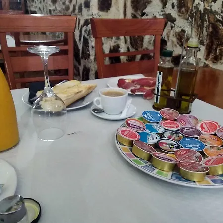 Palmeras By Vivere *