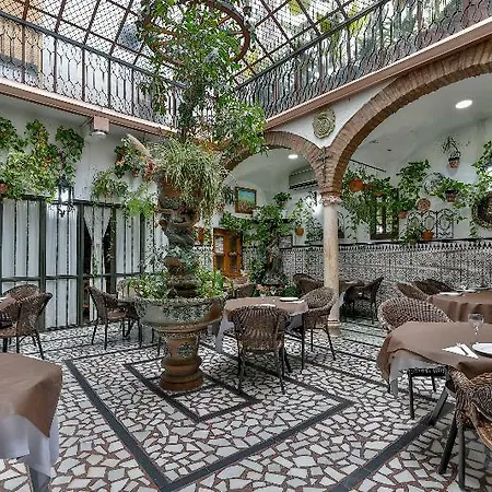 Palmeras By Vivere * זאפרה