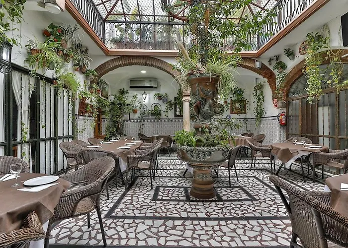 Palmeras By Vivere Hotel *