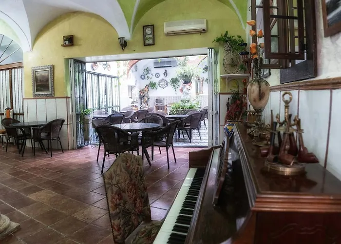 Hotel Palmeras By Vivere *