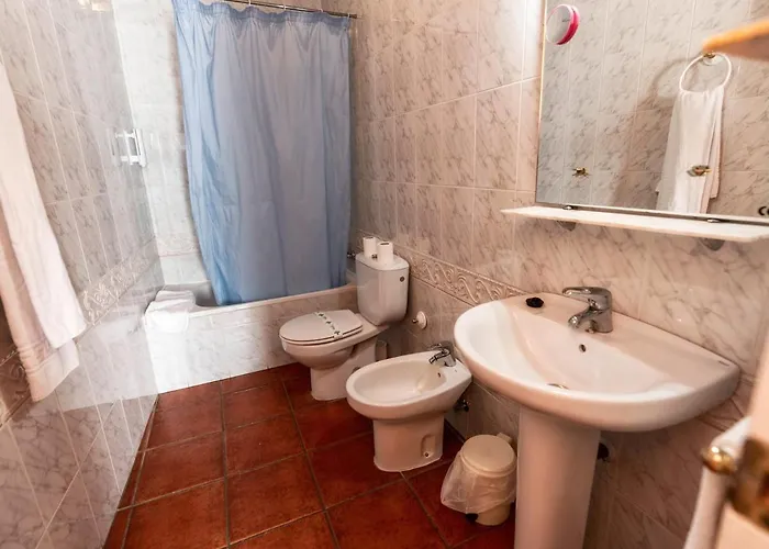 Palmeras By Vivere * Zafra