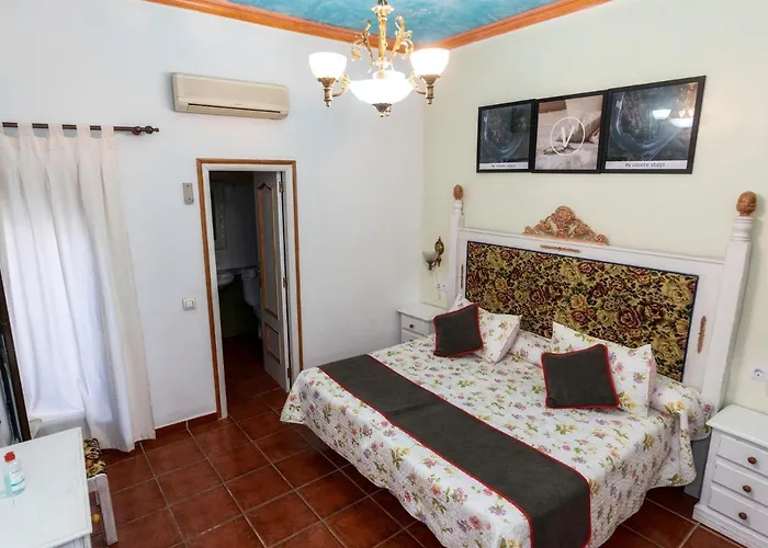 Palmeras By Vivere Hotel