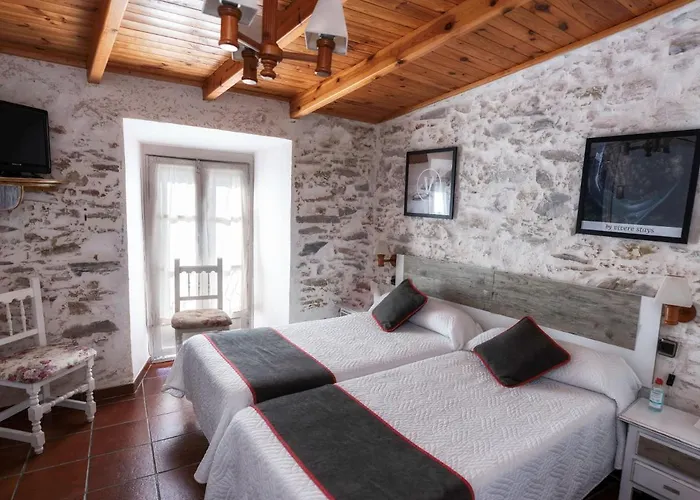 Palmeras By Vivere Zafra