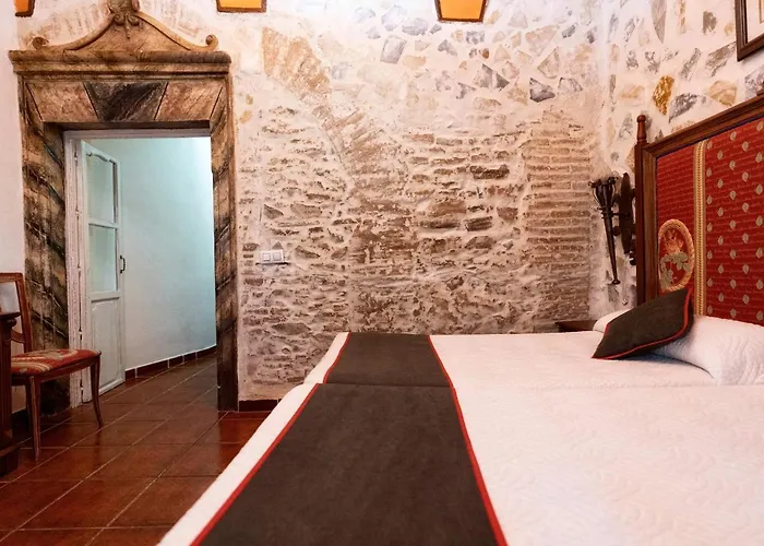 Palmeras By Vivere *