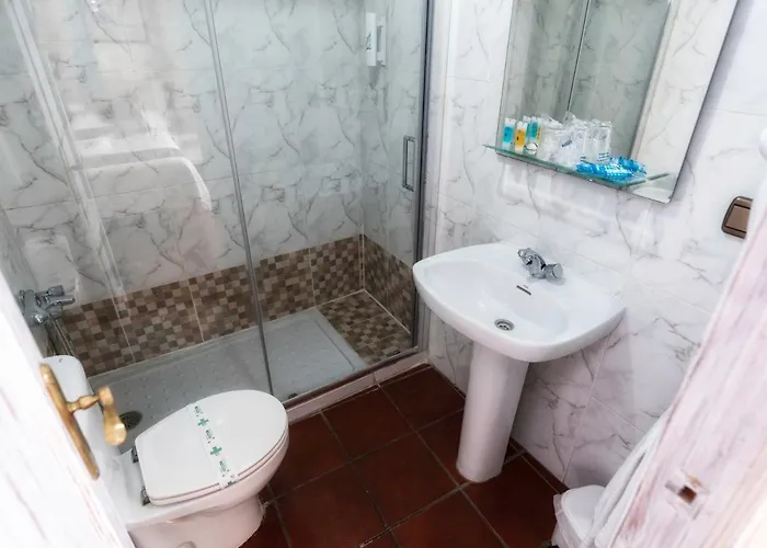 Palmeras By Vivere *