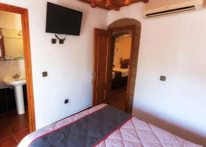 Palmeras By Vivere Zafra