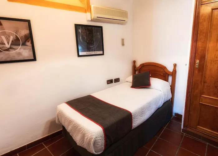 Palmeras By Vivere *