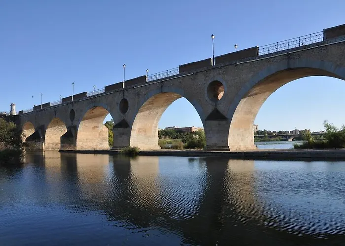 Palmeras By Vivere Zafra