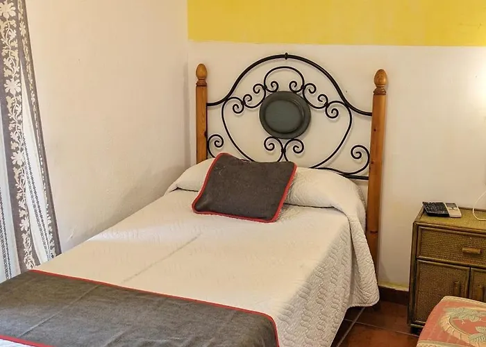 Palmeras By Vivere *