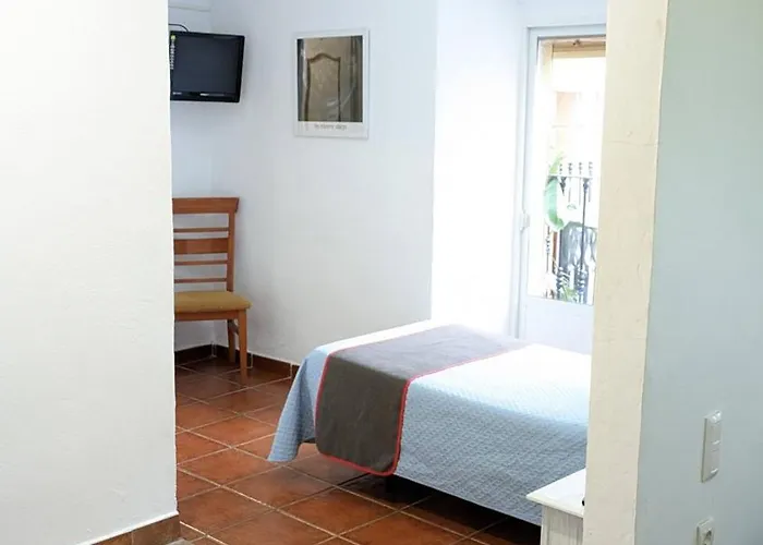 Palmeras By Vivere *