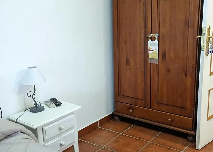 Palmeras By Vivere * Zafra