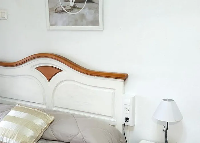 Palmeras By Vivere *