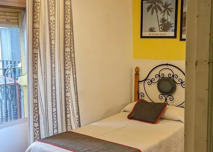 Palmeras By Vivere * Zafra