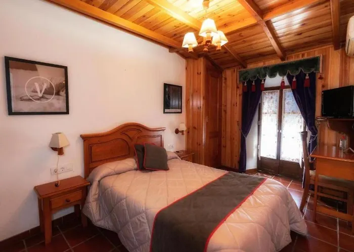 Palmeras By Vivere Zafra