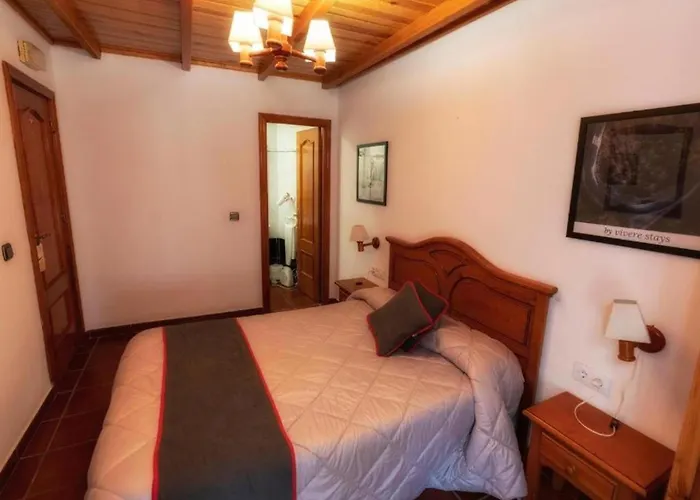 Palmeras By Vivere Hotel