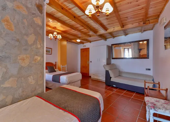 Palmeras By Vivere Zafra