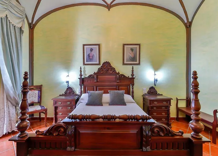 Palmeras By Vivere *