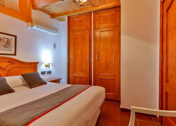 Palmeras By Vivere * Zafra