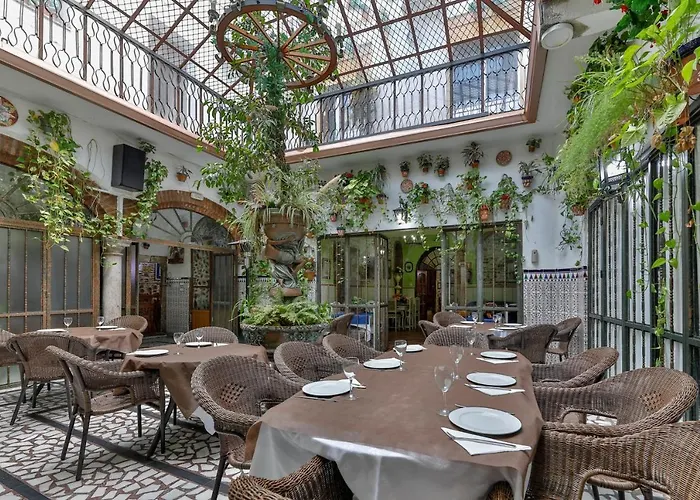 Hotel Palmeras By Vivere *