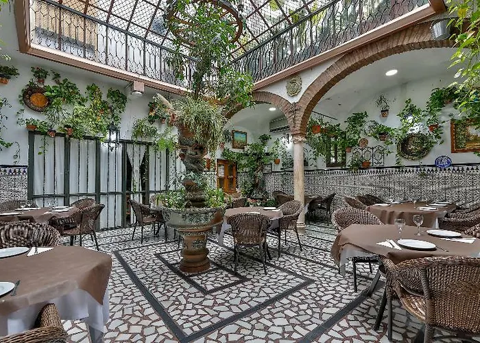 Palmeras By Vivere * Zafra